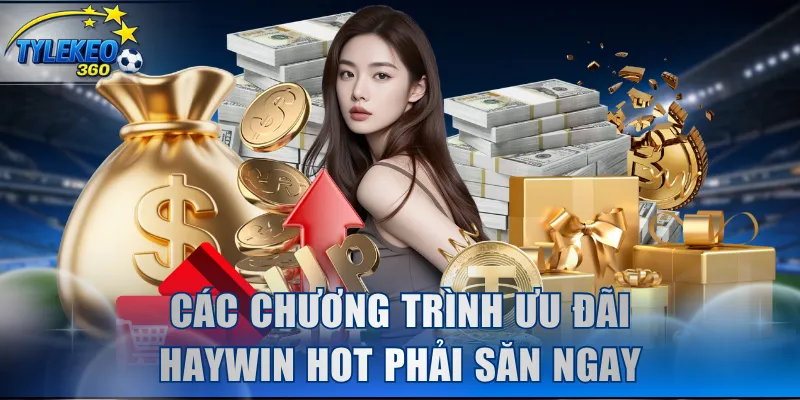 Các chương trình ưu đãi HAYWIN hot phải săn ngay